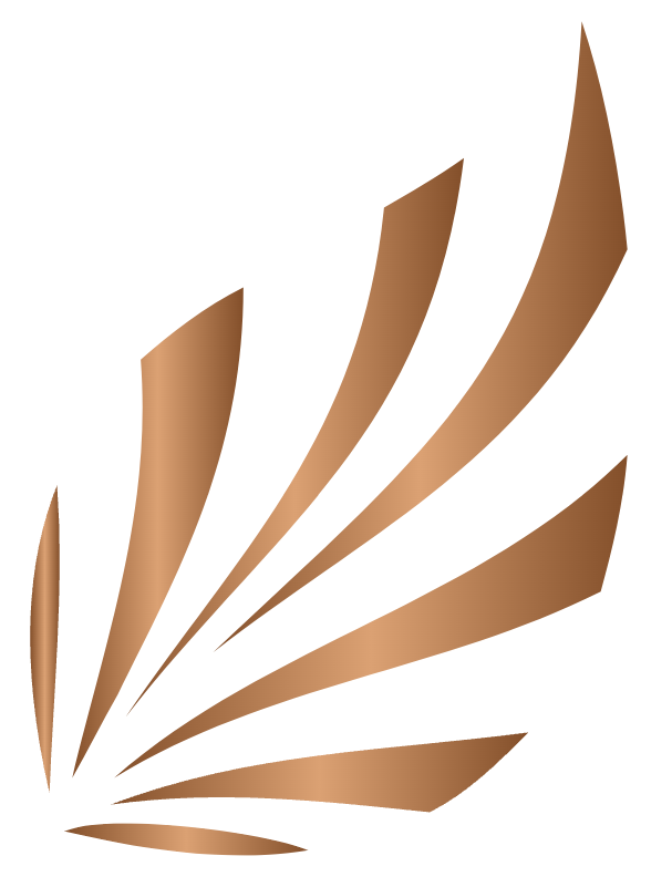 Zapurzaa Systems Symbol
